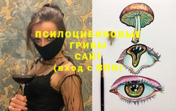 гашик Абаза