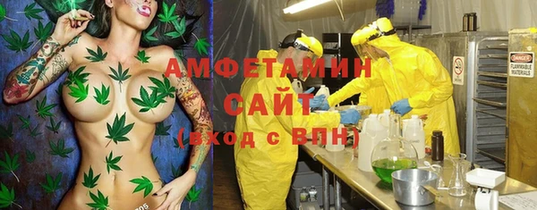 амф Алексеевка