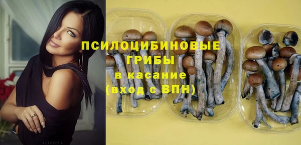 СК Аркадак