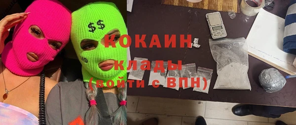 твердый Алексин