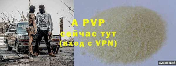 сатива Переславль-Залесский