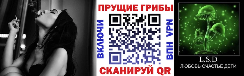 omg ССЫЛКА  закладка  Бавлы  Галлюциногенные грибы Psilocybe 